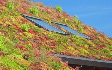 Draycot Cerne living roof systems
