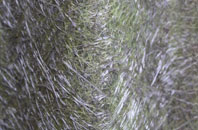 Draycot Cerne fibreglass roof work